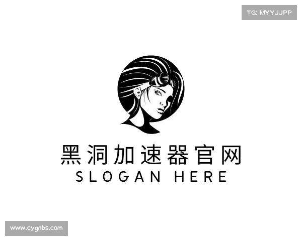 关于黑洞加速器官网